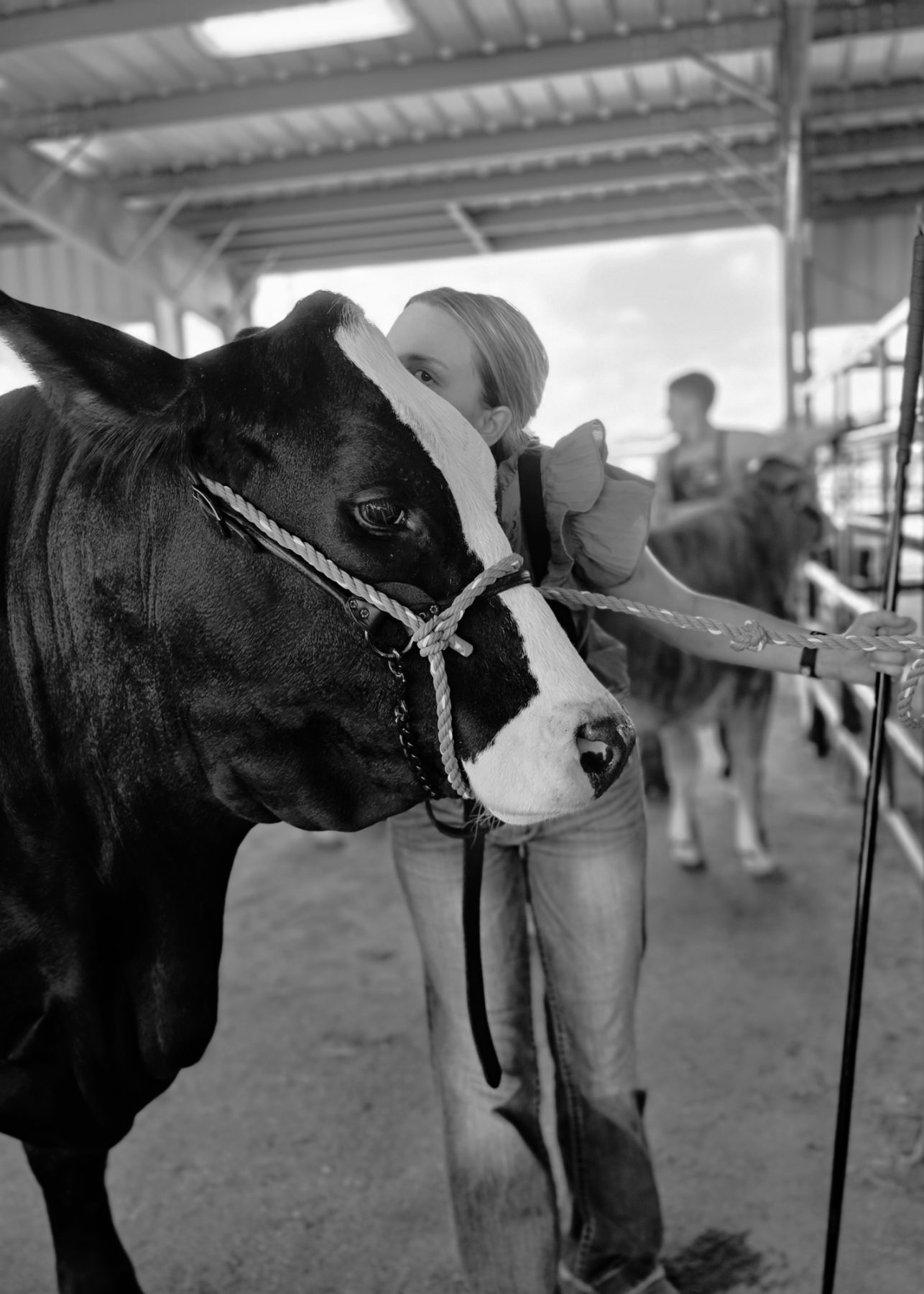 Cattle & Ranch