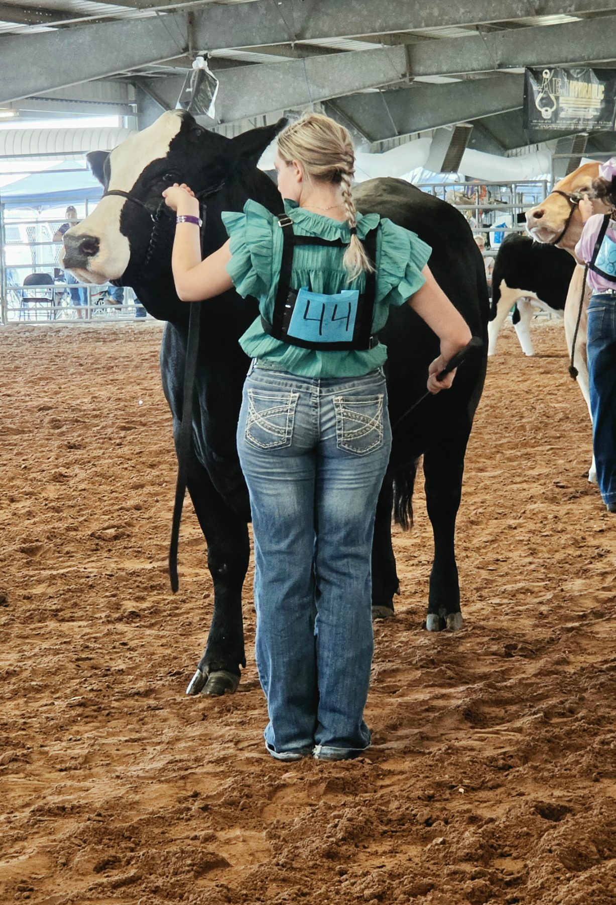 Cattle & Ranch