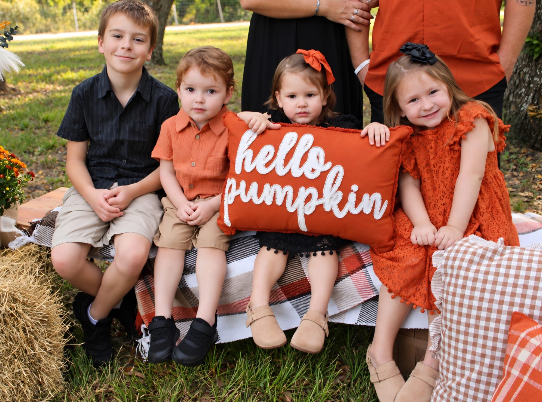 Seasonal Mini Sessions