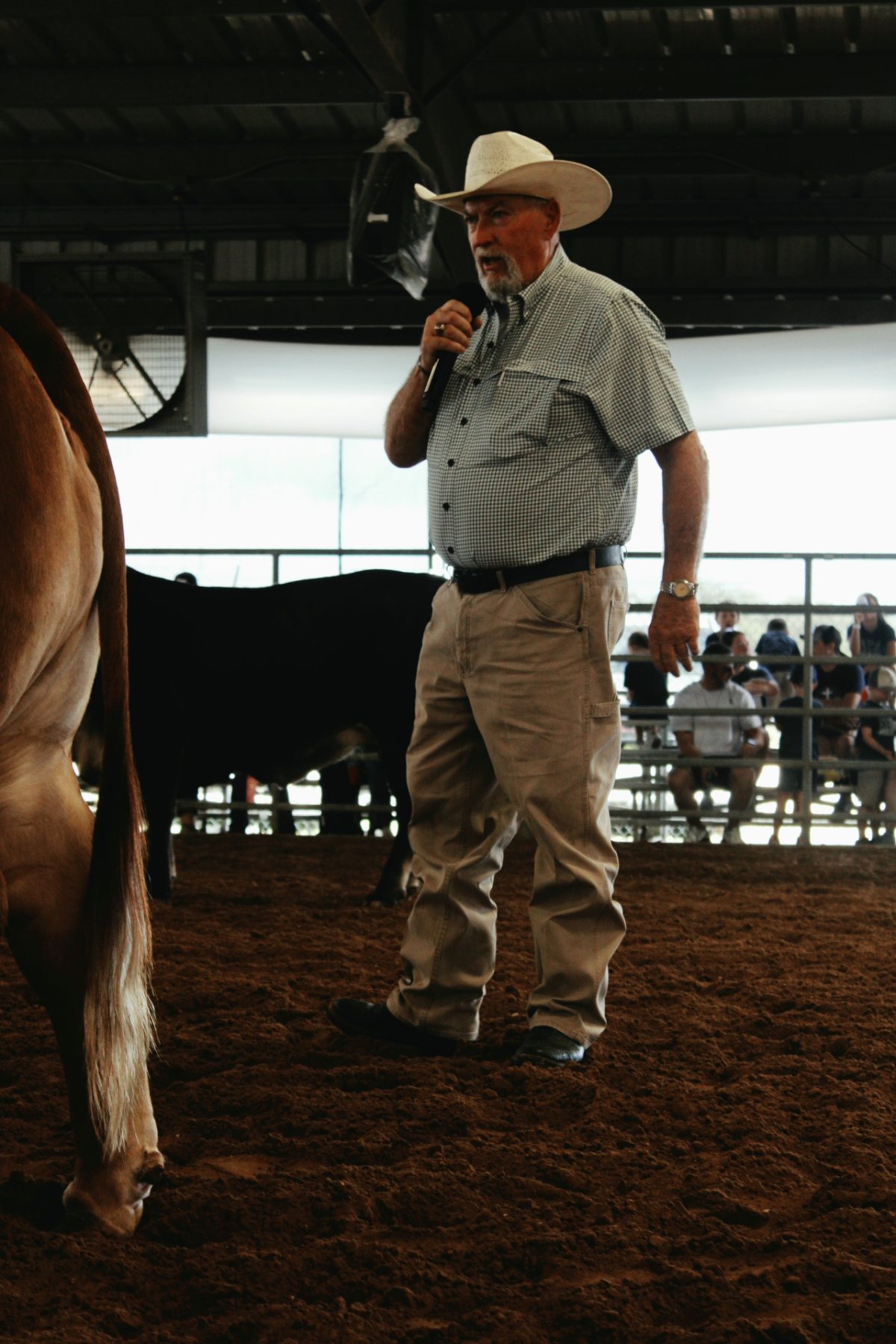 Cattle & Ranch