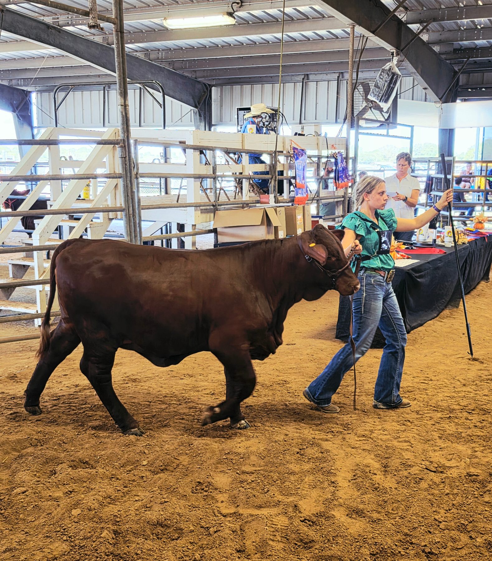 Cattle & Ranch