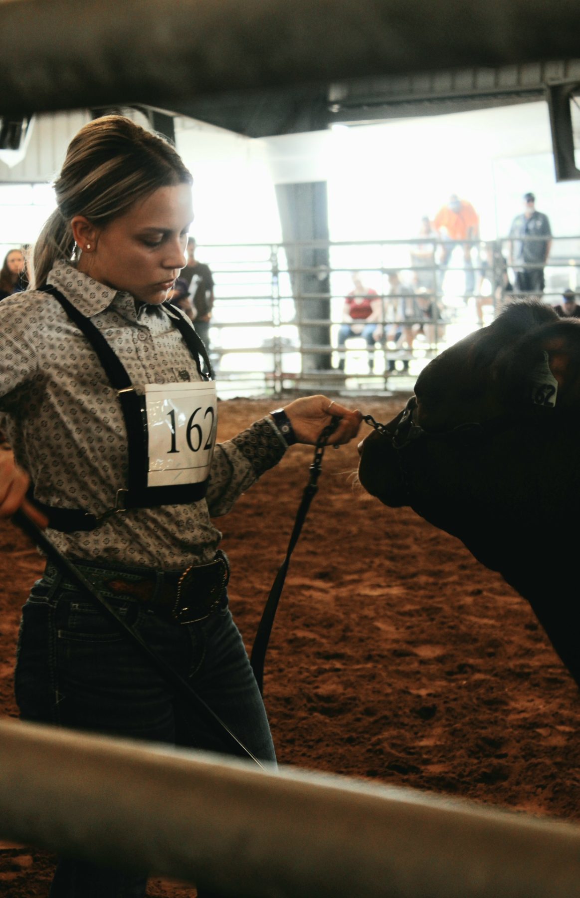 Cattle & Ranch