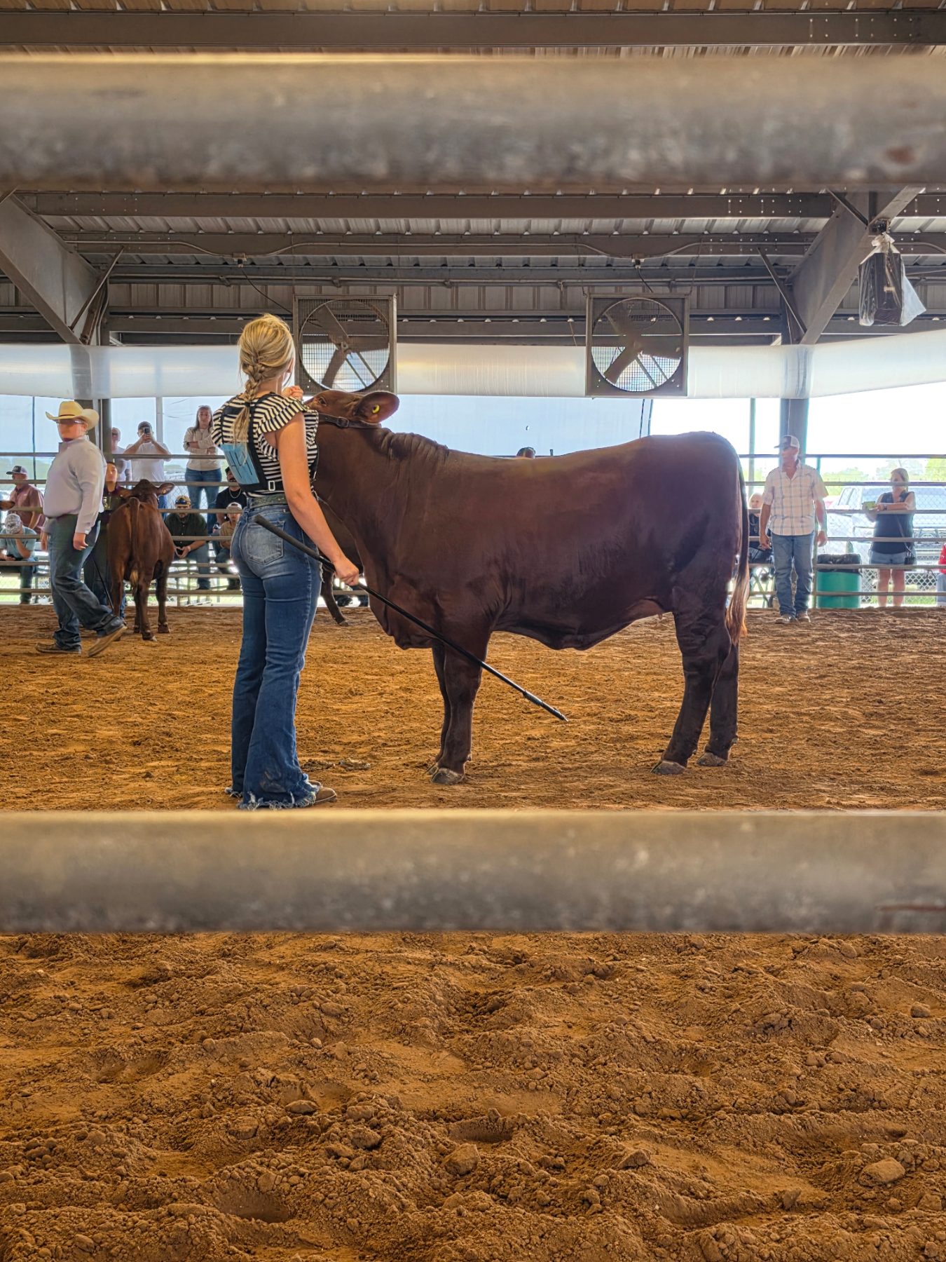 Cattle & Ranch