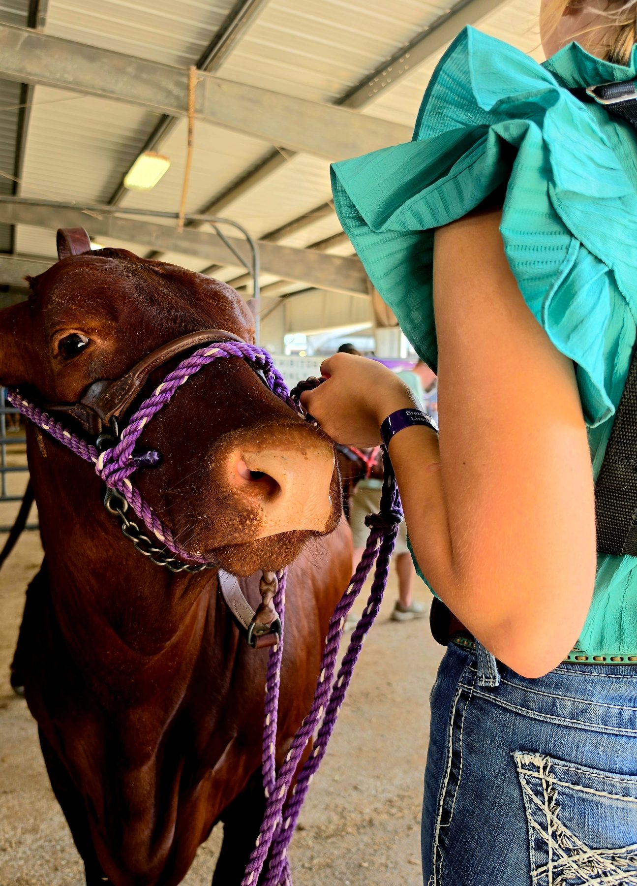 Cattle & Ranch